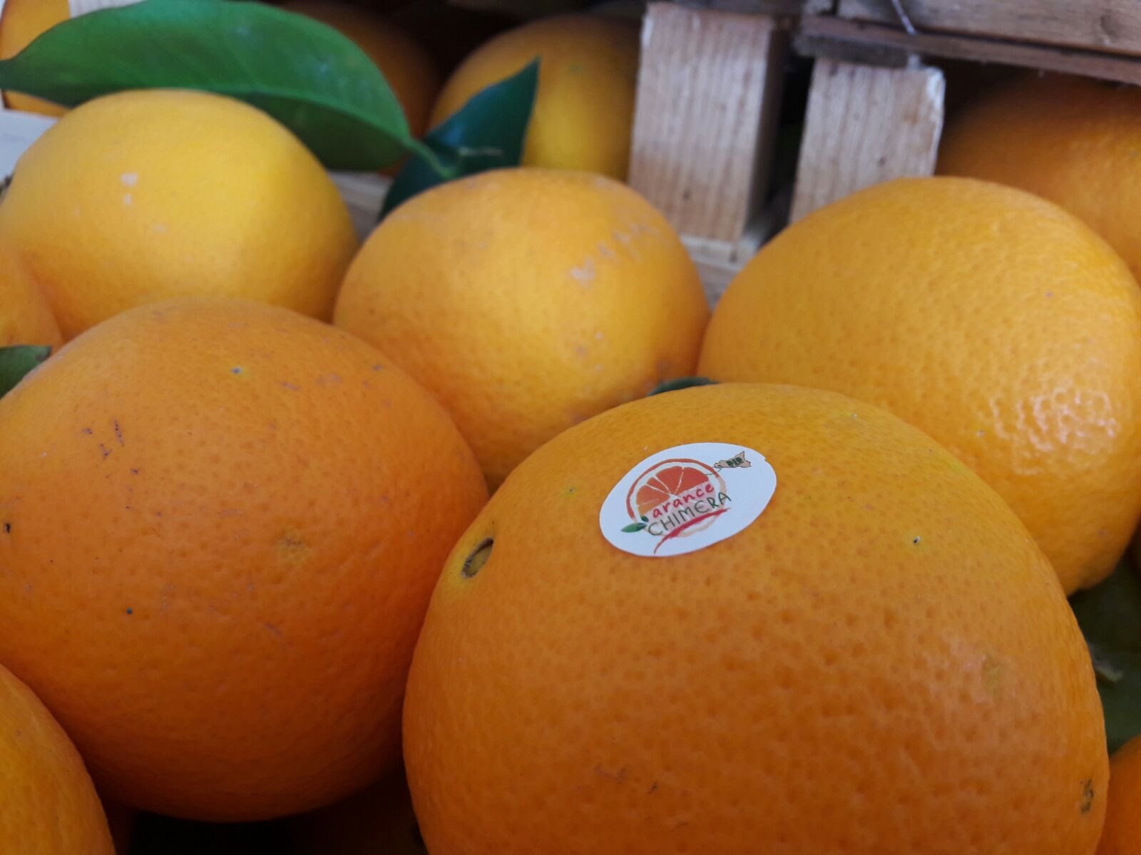 19.1. VORBESTELLUNG Bio Grapefruit gelb oder rosa - CHIMERA, 1kg