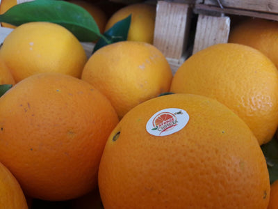19.1. VORBESTELLUNG Bio Grapefruit gelb oder rosa - CHIMERA, 1kg
