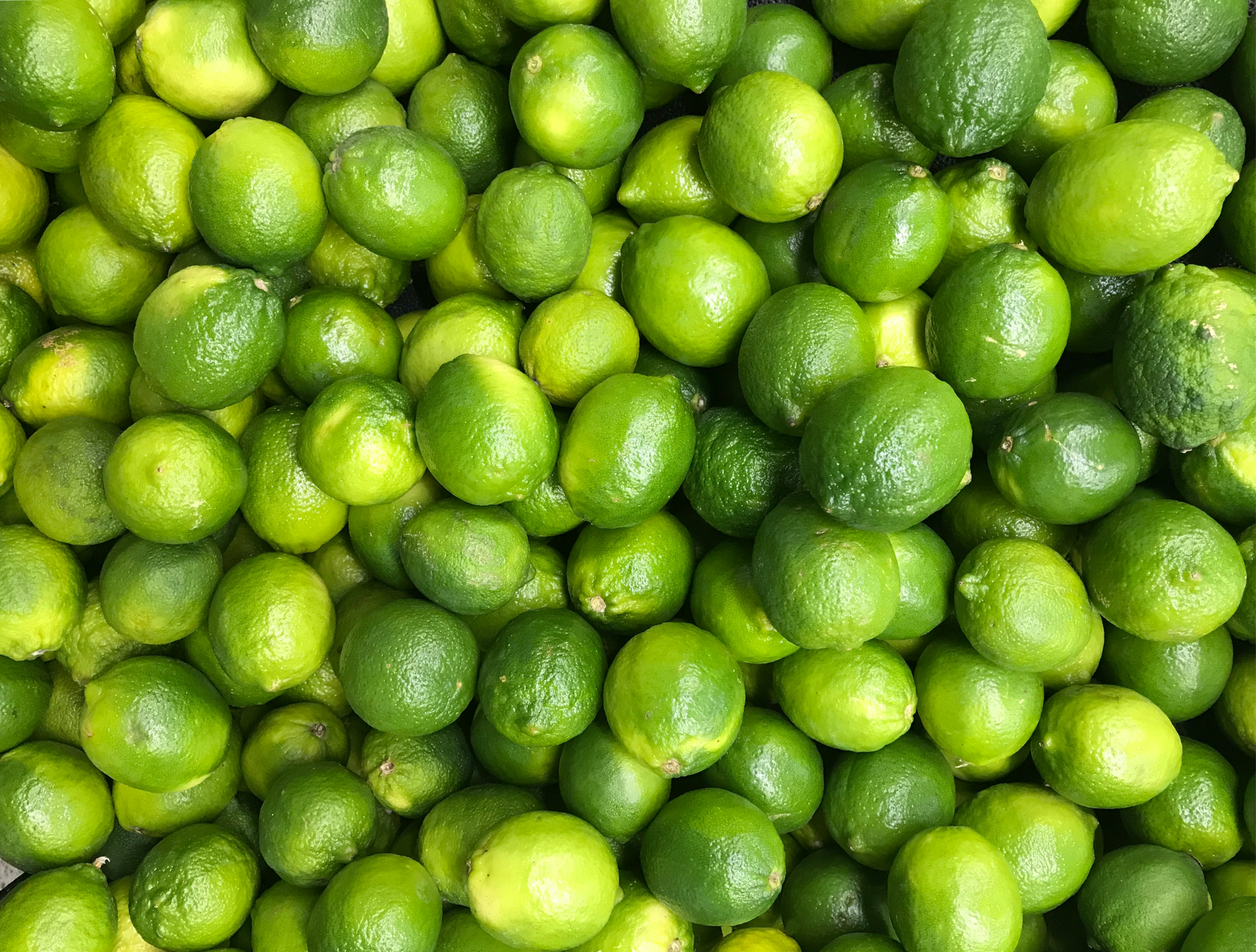 Bio Lemonen, grün Sizilien 5kg - CHIMERA